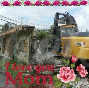 Meet your Posher, Chela